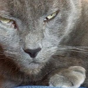 Meet your Posher, Cindy